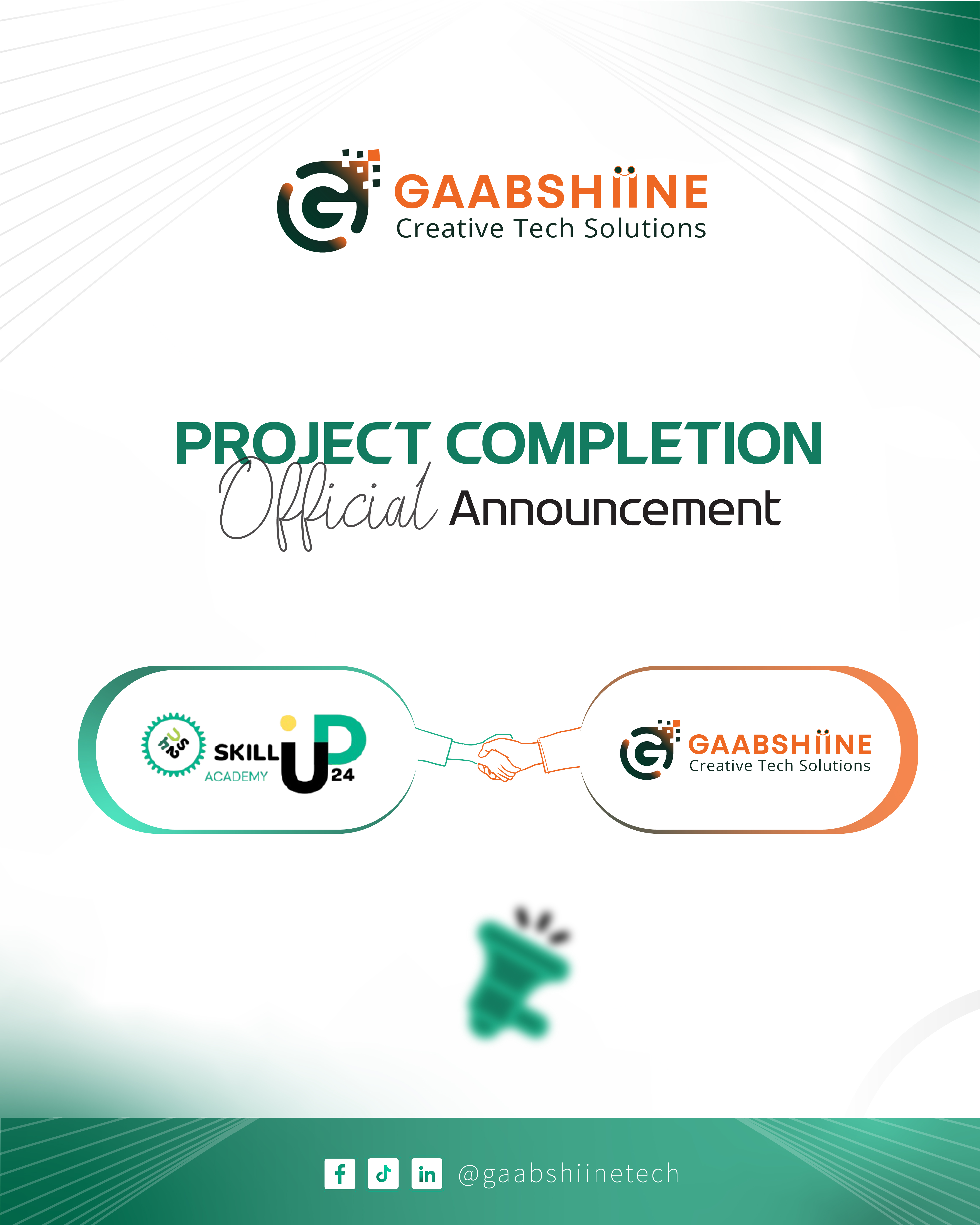 Project Gallery Image