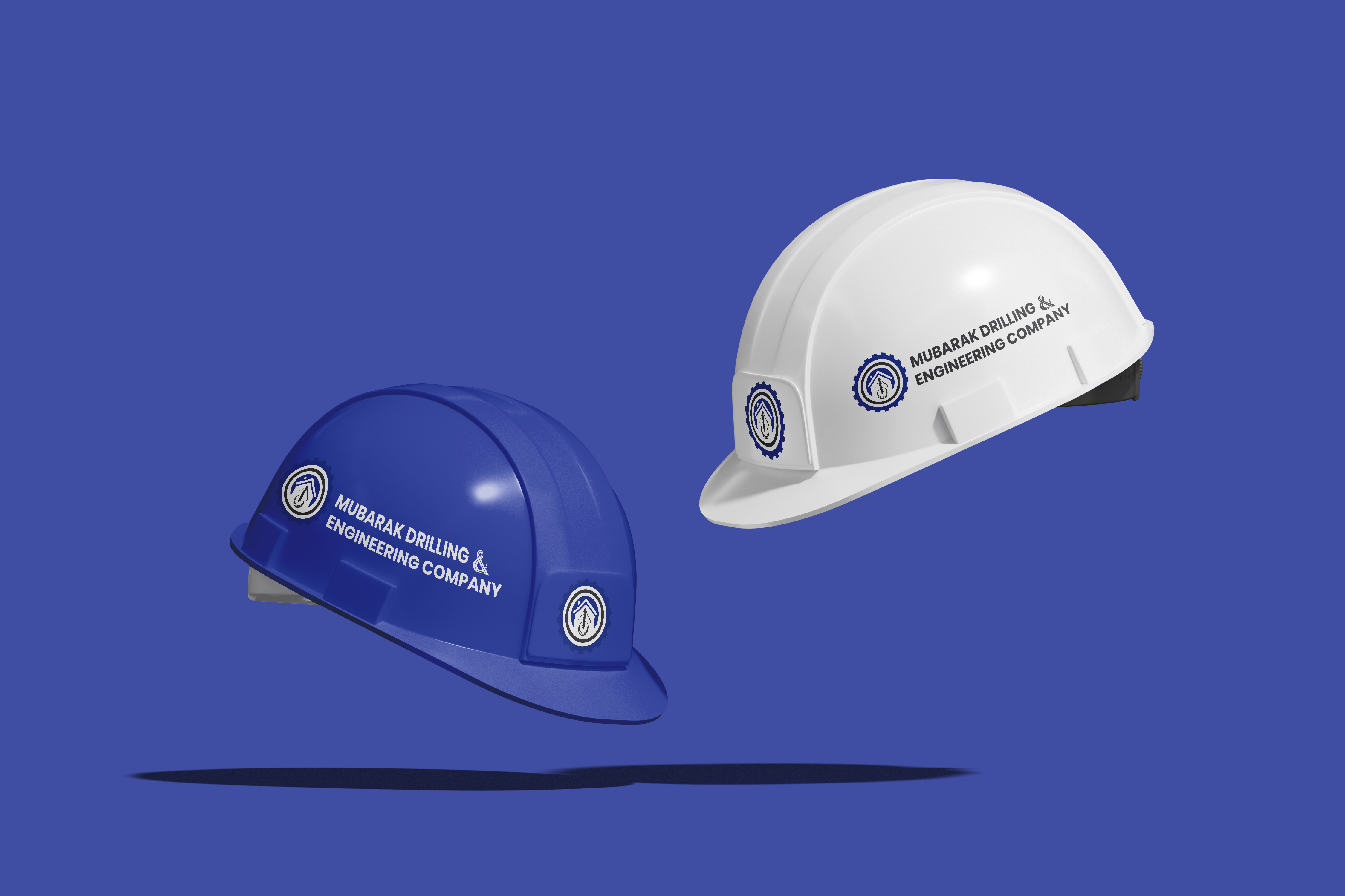 Project Gallery Image