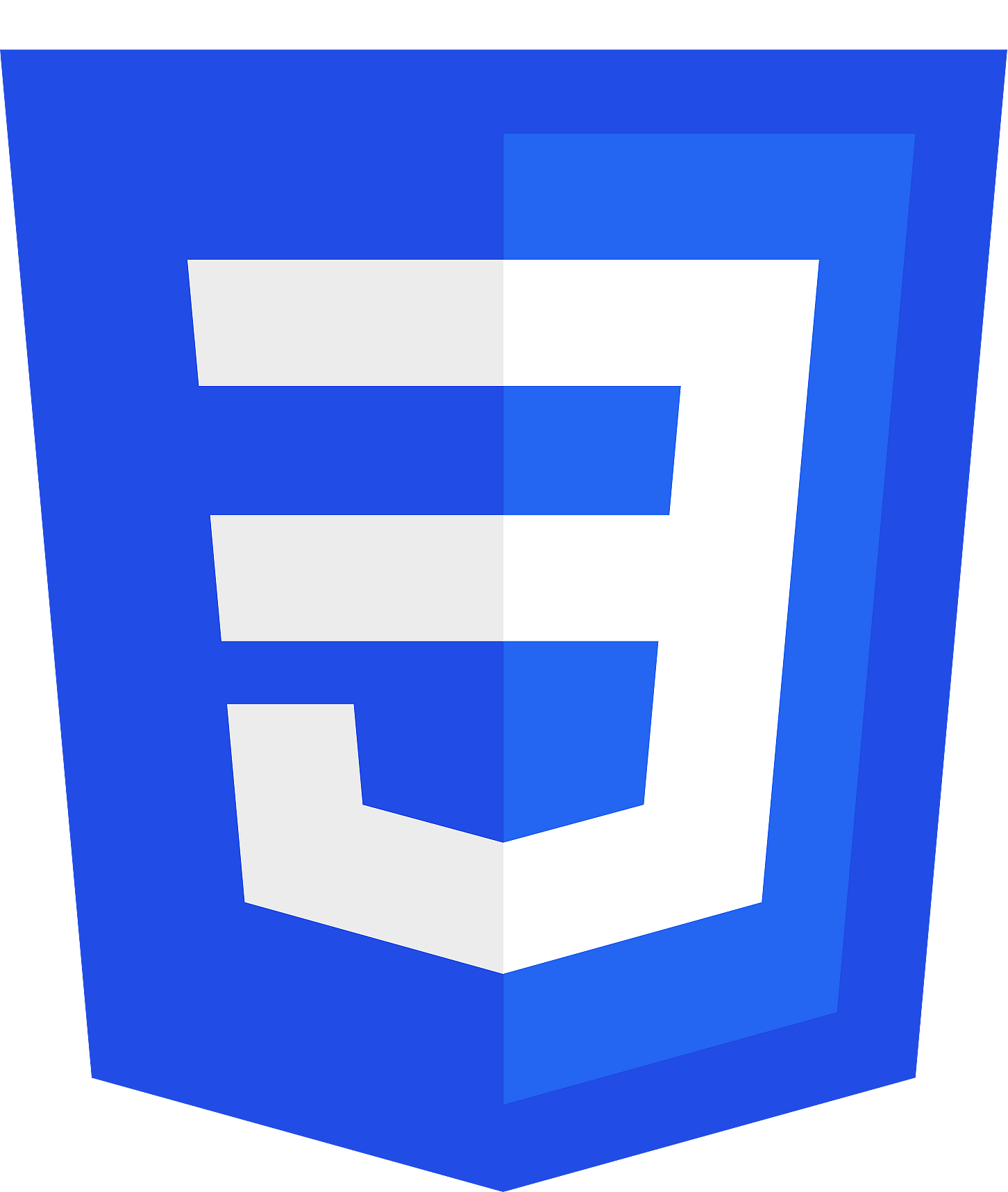 CSS Icon